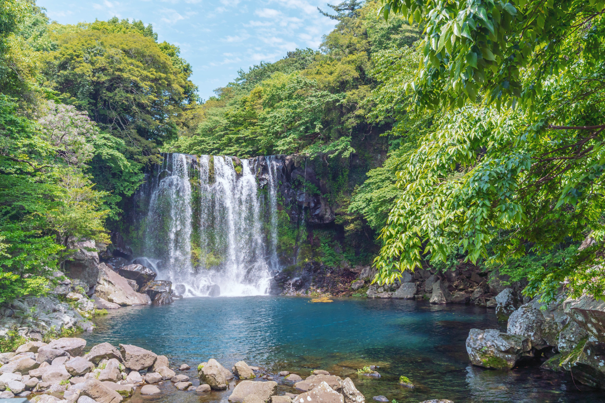 Description of the image